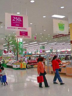 20080726231444_2.jpg