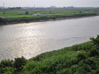 20080729113009_1.jpg
