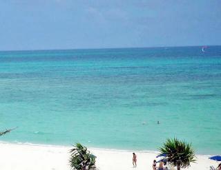 20080724234635_1.jpg