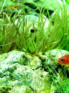 20080903213539_3.jpg