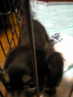 080821_0710~01.JPG