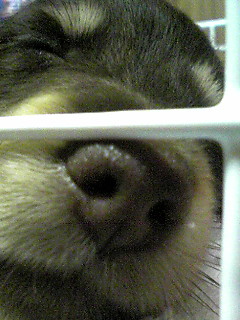 080823_2112~01.JPG