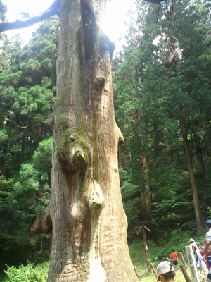 2011-08-04 11.23.57.jpg