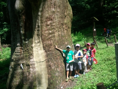 2011-08-04 11.24.36.jpg
