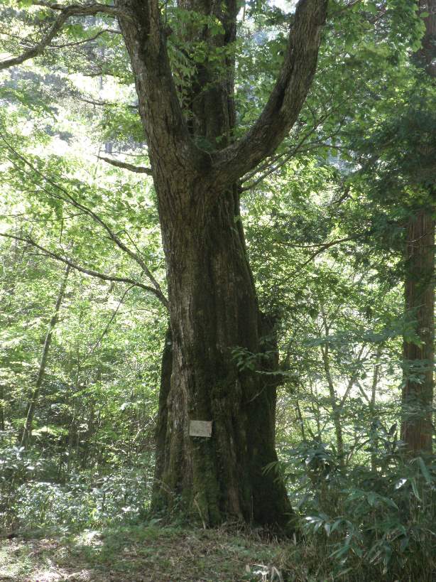 P9100042.JPG