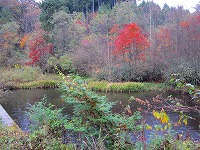 IMG_0103.jpg