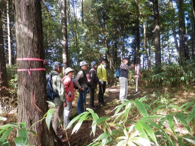 PA290002.JPG