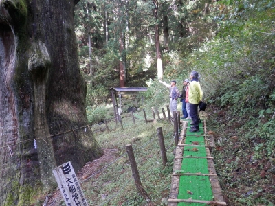 PA290017.JPG