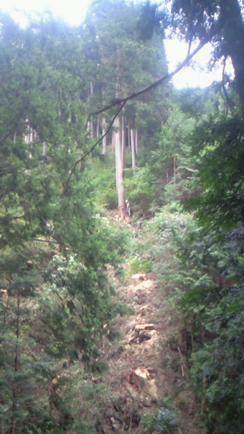 201110081528000.jpg