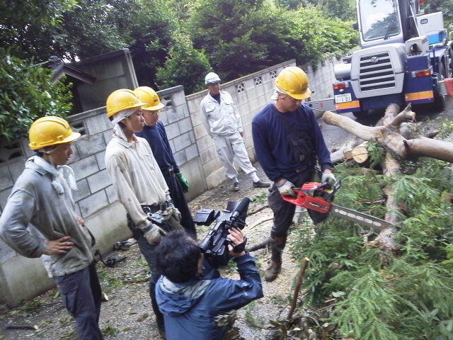 12-07-07_002.jpg