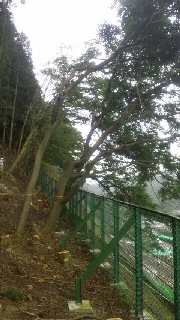 2012081619070000.jpg