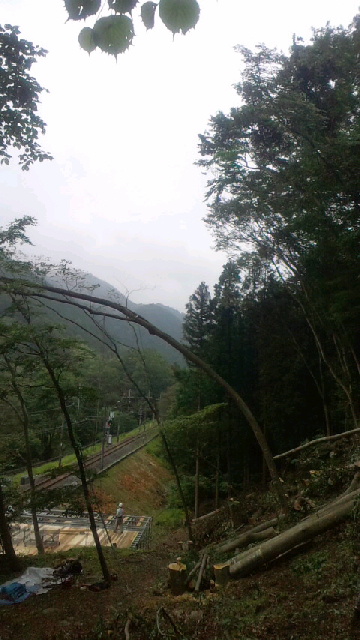 2012081613560000.jpg