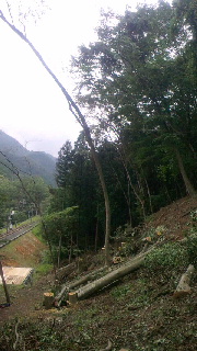 2012081619160000.jpg