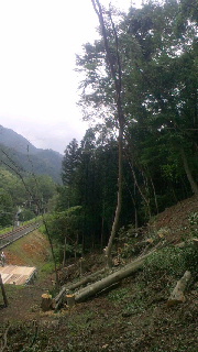2012081619200000.jpg