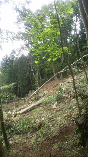 2012081619210000.jpg