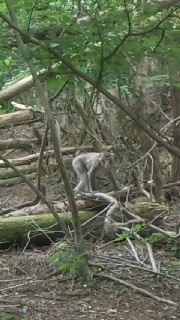 2012090416160000.jpg