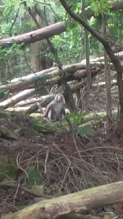 2012090416140000.jpg