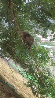 2012090416200000.jpg
