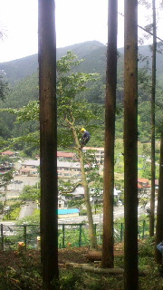 2012090421350000.jpg