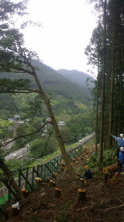 2012090421410000.jpg