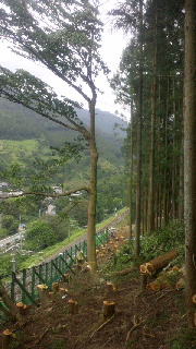 2012090421430000.jpg
