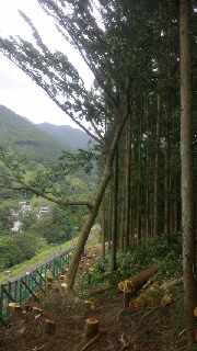 2012090421450000.jpg