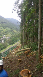 2012090421460000.jpg