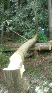 2012090421480000.jpg