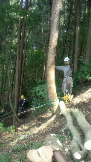 2012092507180000.jpg