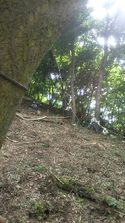 2012092507210000.jpg