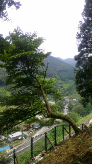 2012092507330000.jpg