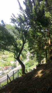 2012092507460000.jpg