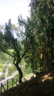 2012092507470000.jpg