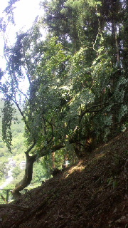 2012092507480000.jpg