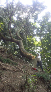 2012092507510000.jpg