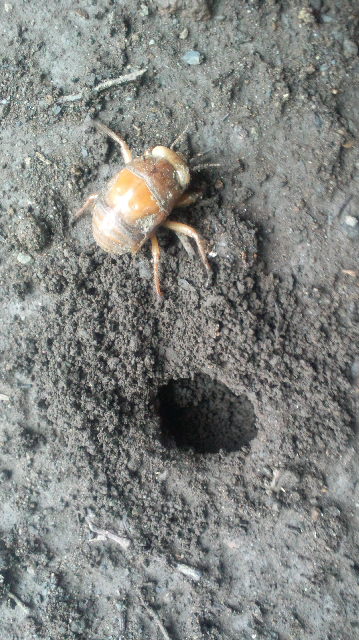 2012100220320000.jpg