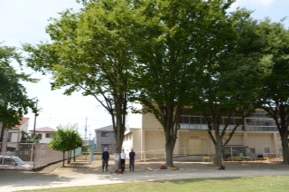 DCIM0798.jpg