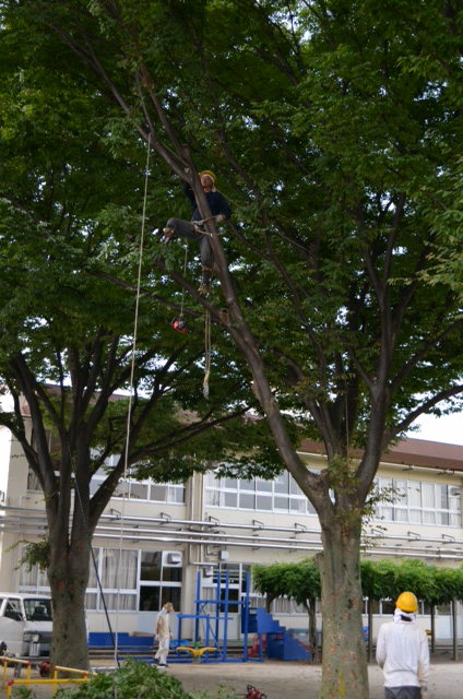 DCIM0804.jpg