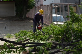 DCIM0797.jpg