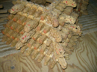 2012122819410000.jpg
