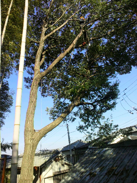 2012122819520000.jpg