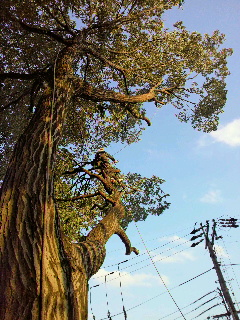 2012122820090000.jpg