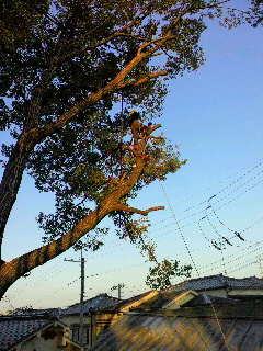 2012122820130000.jpg