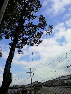 2012122820160000.jpg