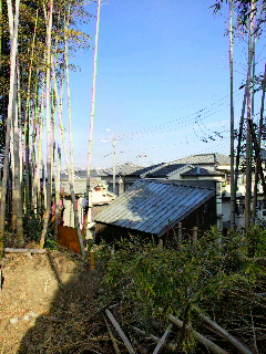 2012122820430000.jpg