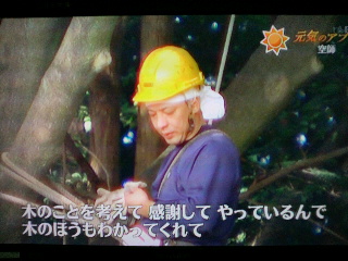 2012123122390000.jpg