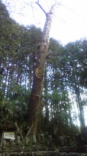 2012123123110000.jpg