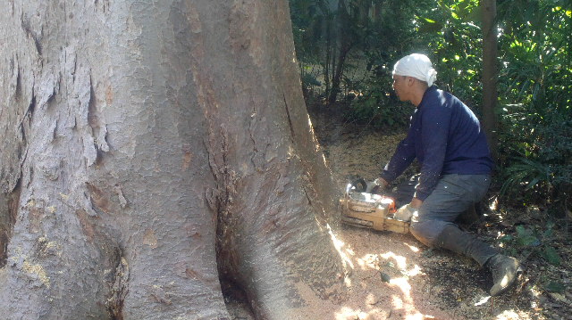 2012123123340000.jpg