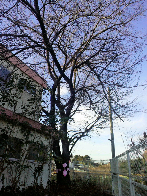 2013080812090000.jpg