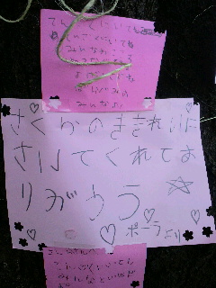2013081112180000.jpg